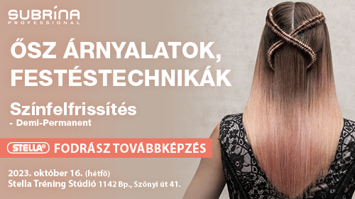 Őszi árnyalatok, festés technikák