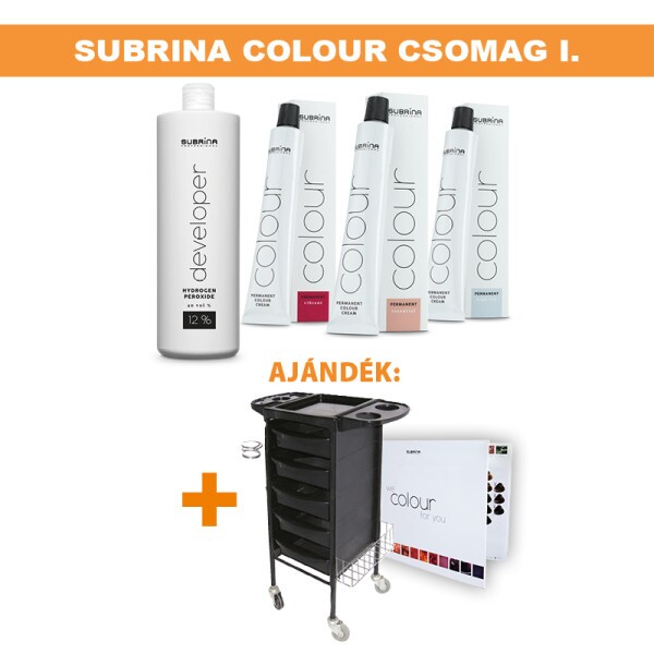 Subrina Professional Permanent Colour Intenzív Hajfesték csomag I. (50db Hajfesték + ajándék Szerszámkocsi)